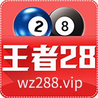 王者28